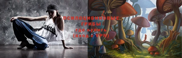 ГАЛЛЮЦИНОГЕННЫЕ ГРИБЫ Заволжье