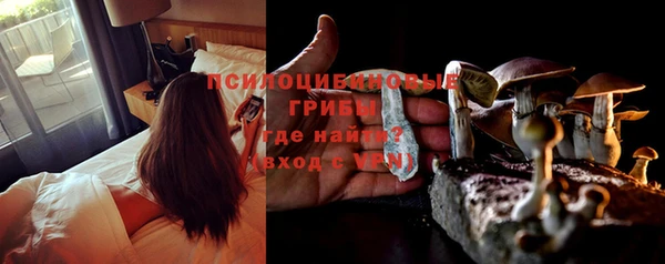 ГАЛЛЮЦИНОГЕННЫЕ ГРИБЫ Заволжье