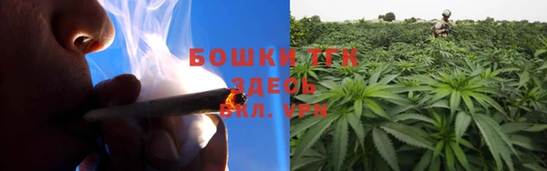 ГАЛЛЮЦИНОГЕННЫЕ ГРИБЫ Заволжье