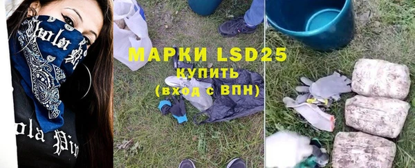 ПСИЛОЦИБИНОВЫЕ ГРИБЫ Шали
