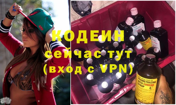 ГАЛЛЮЦИНОГЕННЫЕ ГРИБЫ Заволжье