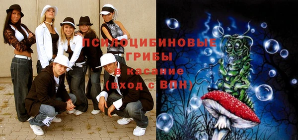 ешки Заводоуковск