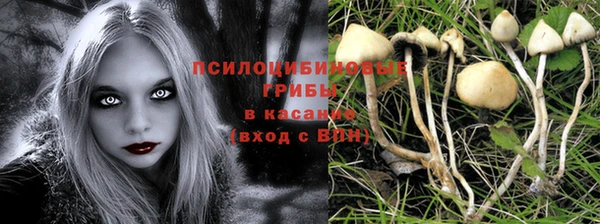 стафф Шарыпово