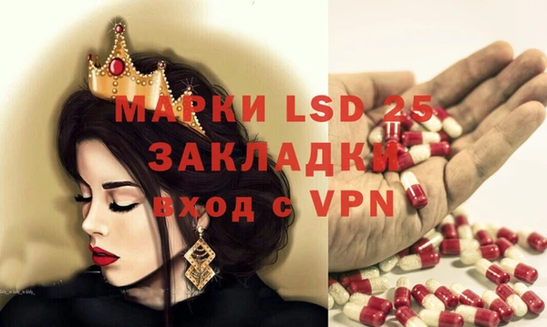 ГАЛЛЮЦИНОГЕННЫЕ ГРИБЫ Заволжье