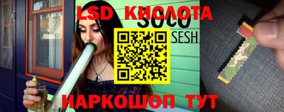 твердый Камышлов