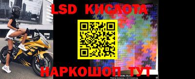 ПСИЛОЦИБИНОВЫЕ ГРИБЫ Кандалакша
