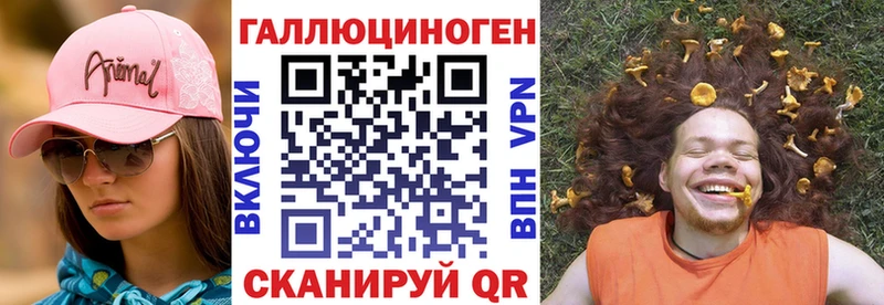 KRAKEN   Строитель  Псилоцибиновые грибы мицелий 